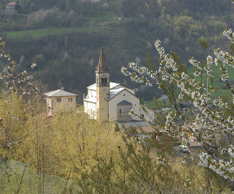 vesale-1